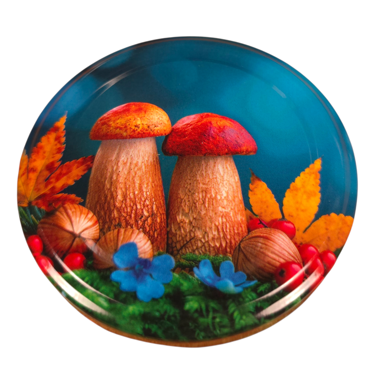 Twist-Off-Deckel Ø82 mm Deckel für Gläser Schraubdeckel Ersatzdeckel Verschlussdeckel Pilze Mix zum Einkochen Einmachen