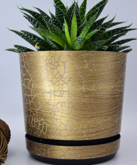 Blumentopf mit Untersetzer – rund, modern, 7 Größen