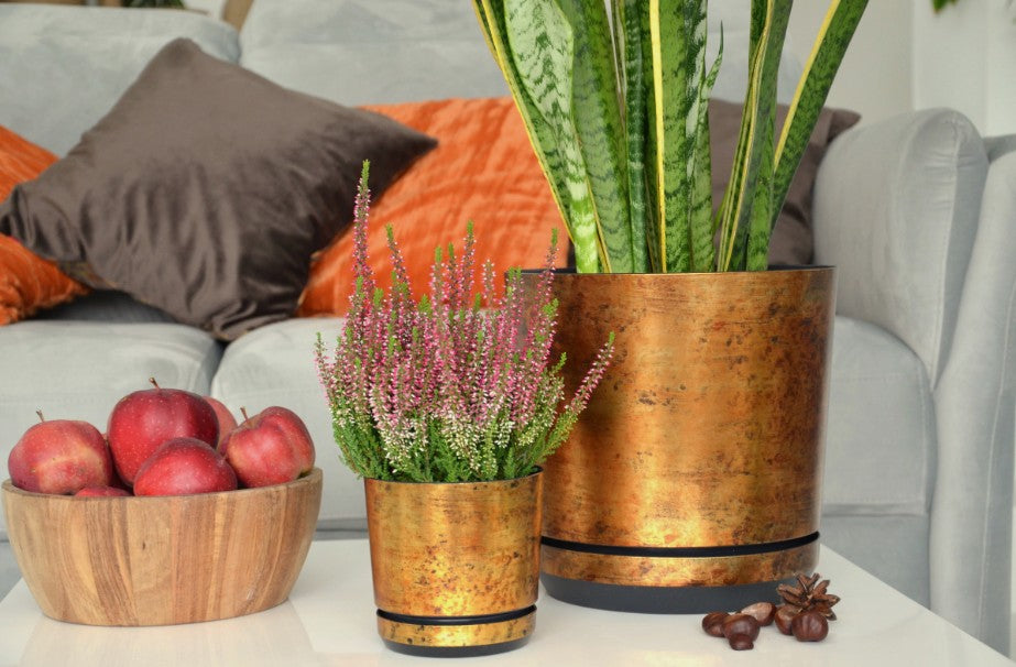 Blumentopf mit Untersetzer – rund, modern, 7 Größen