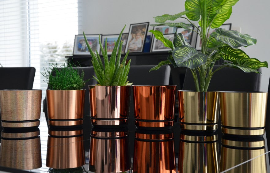 Blumentopf mit Untersetzer – rund, modern, 7 Größen