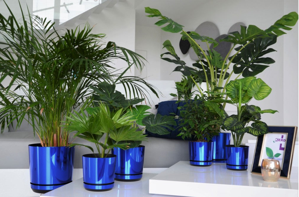 Blumentopf mit Untersetzer – rund, modern, 7 Größen