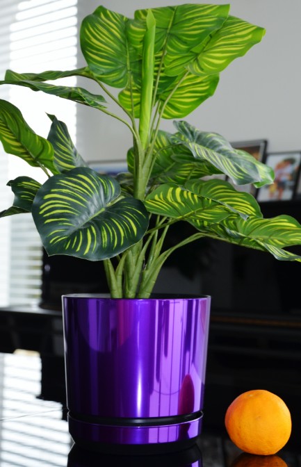 Blumentopf mit Untersetzer – rund, modern, 7 Größen