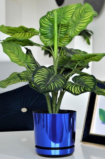 Blumentopf mit Untersetzer – rund, modern, 7 Größen